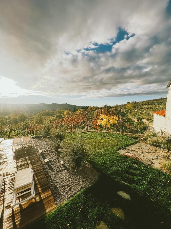 Maison d'hôtes Skerlj Wine Estate à Tomaj Extérieur photo