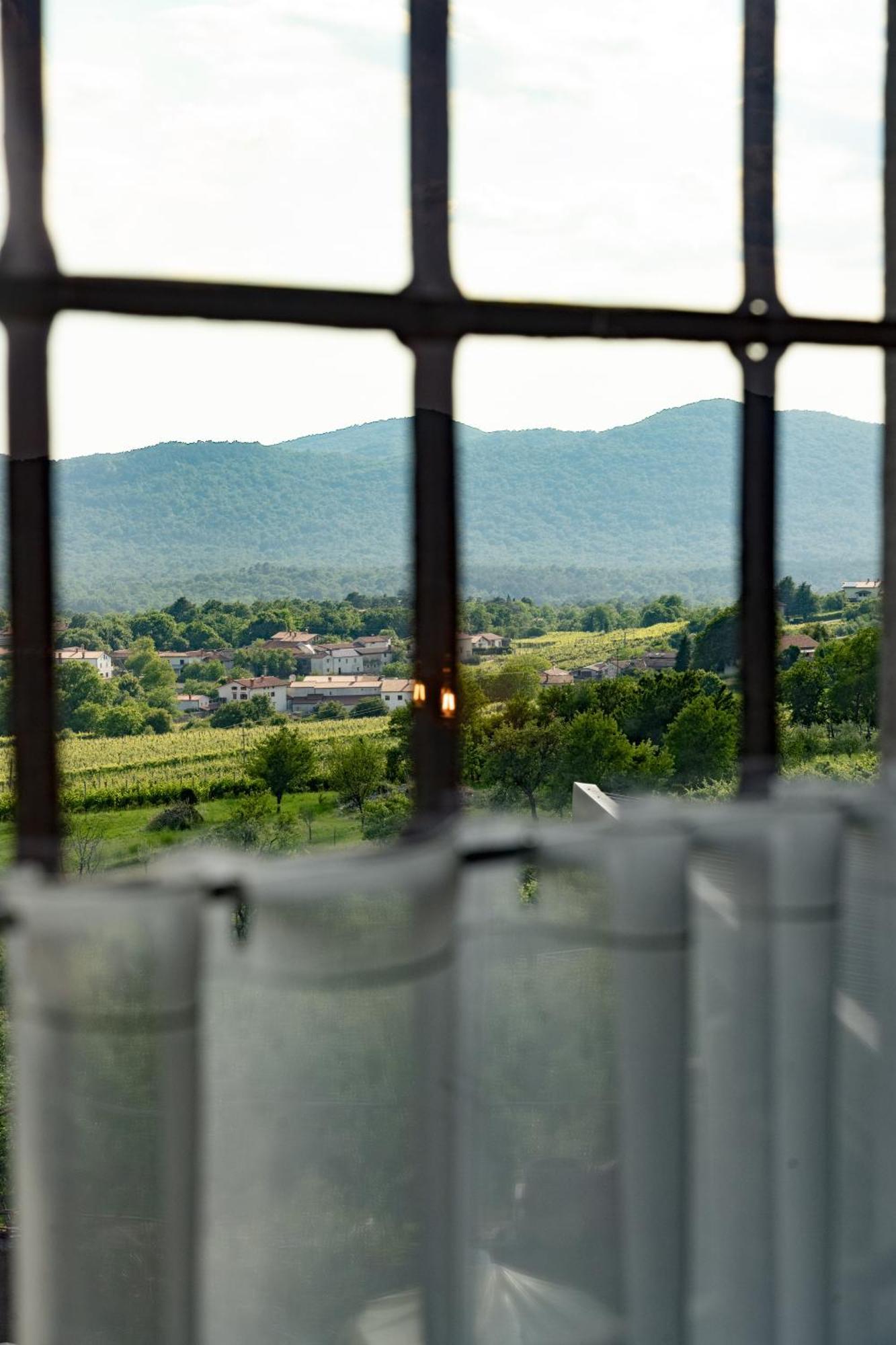 Maison d'hôtes Skerlj Wine Estate à Tomaj Extérieur photo